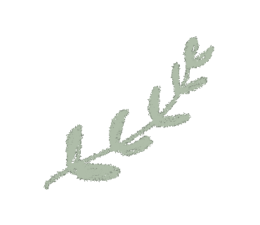 Happy Wedding Sticker