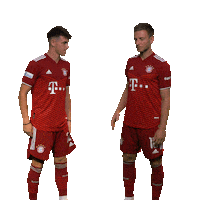fcbayerncampus football soccer team fussball Sticker