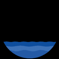 Peru Whales GIF by Y Tú Qué Planes
