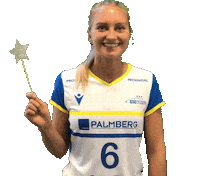 Star Volleyball Sticker by SSCPalmbergSchwerin