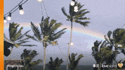 Cbs Love GIF by LoveIslandUSA