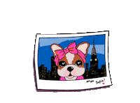 Travel Photo Sticker by simones