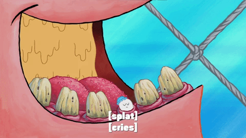 season 9 episode 26 GIF by SpongeBob SquarePants
