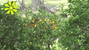 Dance Fun GIF by Hans Göran