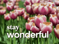 Spring Season Flower GIF by Sealed With A GIF