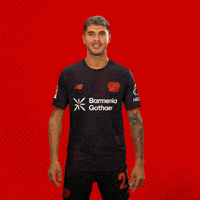 Bayer 04 Bundesliga GIF by Bayer 04 Leverkusen