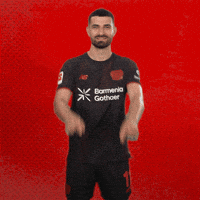 Bayer 04 Bundesliga GIF by Bayer 04 Leverkusen