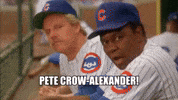 Chicago Cubs Oops GIF