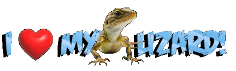 Guinea Pig Love Sticker