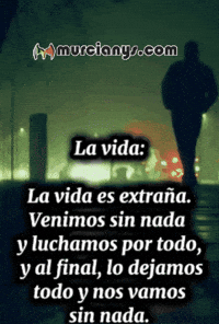La Vida Amigos GIF by Murcianys LLC