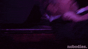 tv land kiss GIF by nobodies.