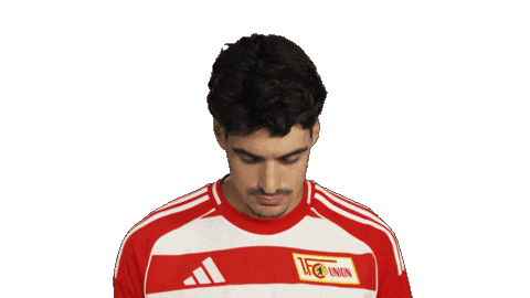 Union Berlin Leite Sticker by Bundesliga