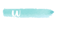 Kingfisher Bay Sticker by Cool Dingo Tour
