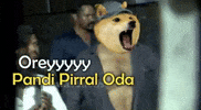 Tfi Memes GIF