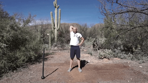 setforset giphygifmaker GIF