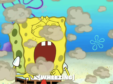 season 6 porous pockets GIF by SpongeBob SquarePants