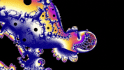 Rainbow GIF by bbqshoes