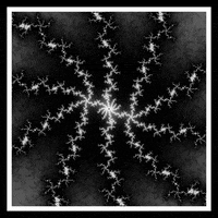 Loop Nft GIF by xponentialdesign