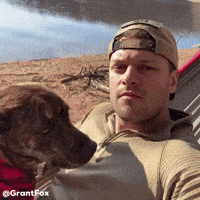 Dog Puppy GIF