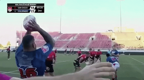 sammytuitalifalinoaa giphyupload GIF