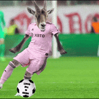 World Cup Football GIF by RightNow