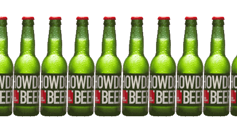 HOWDOBeer giphyupload beer bier bottles Sticker