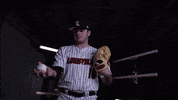University Of Louisville Baseball GIF by Louisville Cardinals