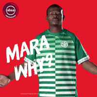 south african soccer GIF