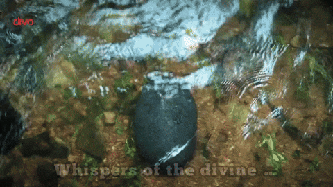 Music Label Devine GIF by Divo Music