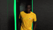 World Cup Sport GIF by Football Australia