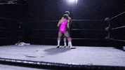 SHWAWrestling what shove jive garry GIF
