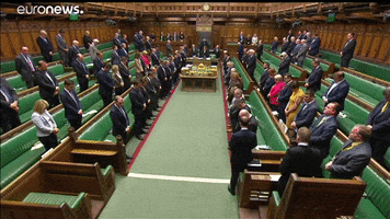 House Of Commons Silence GIF by euronews