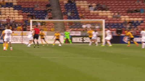 rslmarketing giphyupload nwsl goalie national womens soccer league GIF
