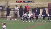 vwu_marlins marlins vwu wethebeach virginiawesleyan GIF