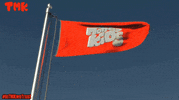 Nft Flag GIF by TMKNFT