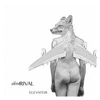 Elevator GIF by Silent Rival