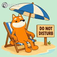 Mood Crypto GIF by BONK