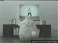 fat GIF