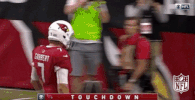Arizona Cardinals Football GIF by NFL