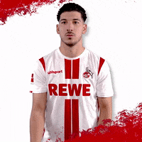 1 Fc Cologne Football GIF by 1. FC Köln