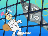 season 8 frozen face-off GIF by SpongeBob SquarePants