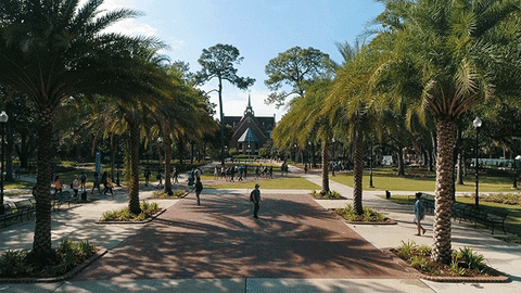 good morning GIF by University of Florida