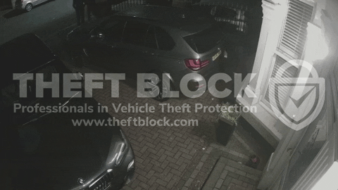 theftblock giphyupload GIF