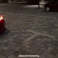 Bmw M4 GIF