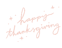 Pumpkin Pie Thanksgiving Sticker by Kelsey Davis