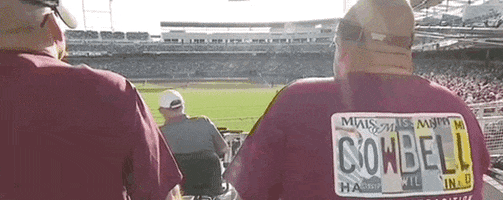 College World Series Baseball GIF by NCAA Championships