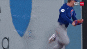 Celebrate Chicago Cubs GIF by MLB