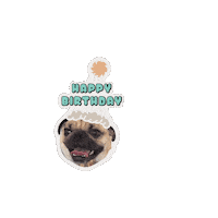 Happy Birthday Pug Sticker