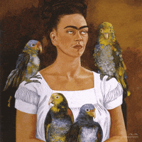 Frida Kahlo Wtf GIF by unimpressionism