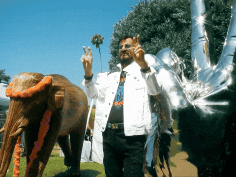 Beverly Hills Birthday GIF by Ringo Peace and Love